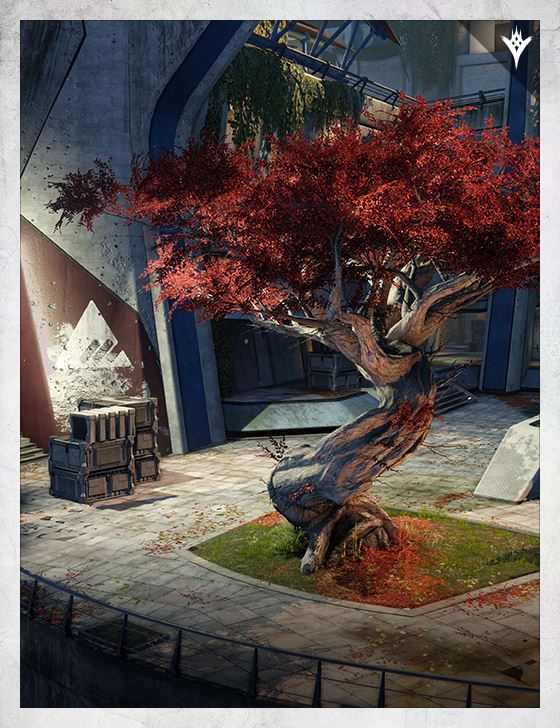 Bannerfall
