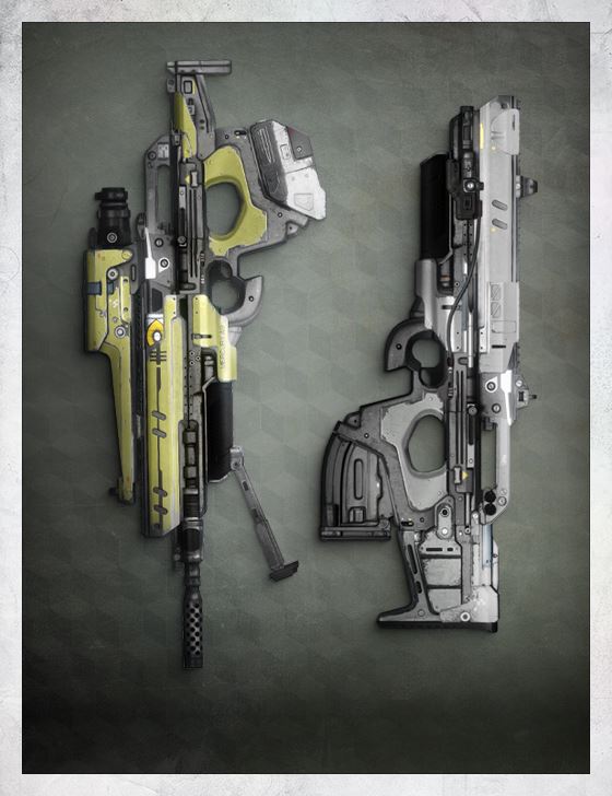 Scout Rifles