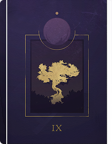 Cover of A Guardian's Ideals