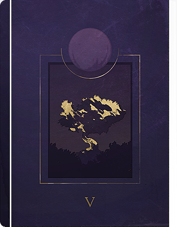 Cover of Sol, A History